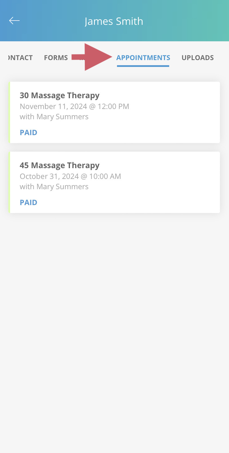 Location of appointment button on client file to view past appointment