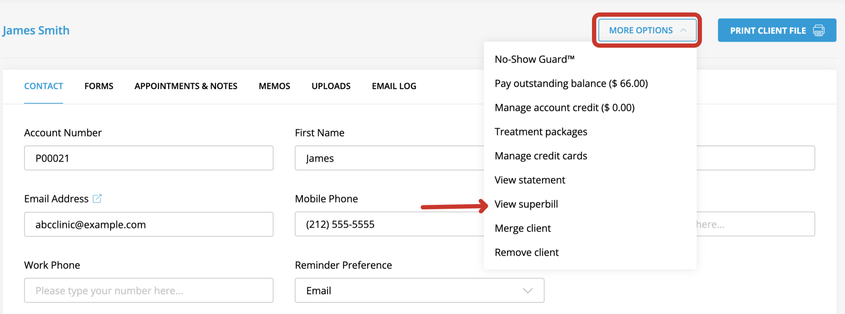 How to view and send superbills to clients.png